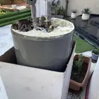 سخان مركزي سكراب للبيع