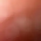 مطلوب في الدمام ا ر ض بسعر مناسب