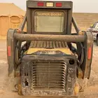 شيول بوبكات