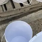 سطول حمام او دجاج للبيع