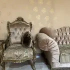 كنب