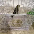 كناري