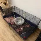 اقفاص كبيره للبيع