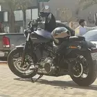 هارلي سريت بوب Harley Street Bob 2025