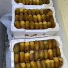 رطب برني القريات