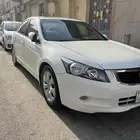 القطيف