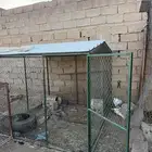 للبيع شبك جديد