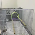 قفص طيور كبير