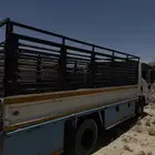دينه ايسوزو مديل 2013