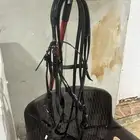 لجام وصدرية ستيتوس