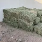 للبيع رودس