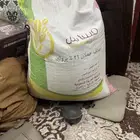 علف دجاج بياض
