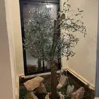 شاليه الجود للايجار اليومي