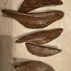 مروكي مباخر محسن ممتاز
