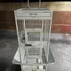 قفص ببغاء مع استاند علوي