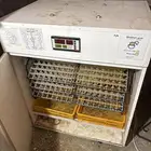 فقاسة توماتيك