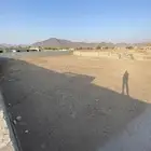 احواش متفرقة داخل مزرعة للأجار السنوي او الشهري