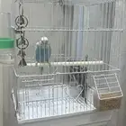 عصافير حب مع قفص وتعليقه