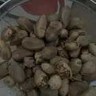 بذور الهجليج