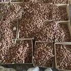 تمر علف صرام من النخل مباشره لحم صافي بدون خشف