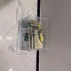 3طيور 1 ذكر 2 انثى مع شبكها ومرجيحتها والبياضه