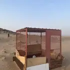 شبك طيور