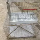 مستلزمات طيور متنوعه