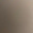 قطط تبني