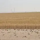 للايجار في قريه العليا