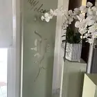 تنسيقات مولد