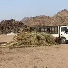 جريد حملة دينه