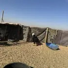 رخل جذعه العمر 6 شهور شحم فل الفل