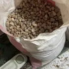 لوز بجلي ( لباب ) من مزرعتي من بني مالك 38 كيلو