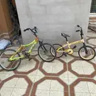 كلهن يمشن بس الاصفر يتحرك كفره من وراء