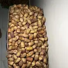 تمر مواكيل نجران