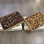 تمور القصيم