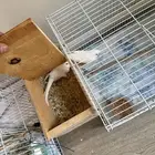 الحب للبيع الزوج