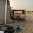 شبك حمام 2 2