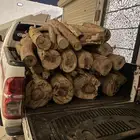 حطب مستورد يابس شرط