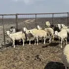 السلام عليكم ورحمة الله وبركاته
