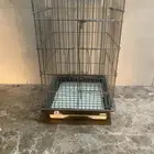 للبيع قفص طيور كبيره بغبغاء وماشابه