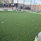 ازولا حقروصين الشقيق حائل