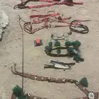 لجام وشكائم وخلاخيل
