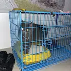 للبيع بسه معه أغراضه وأكله