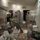 للبيع أقفاص طيور