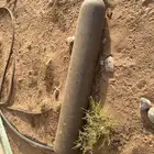 اصطوانة اكسجين كبيره