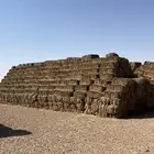 تبن للبيع
