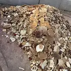 خبز ناشف