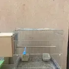 قفص شبه جديد جاهز من كل شي