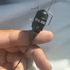 ريشه مارشل مستخدمه